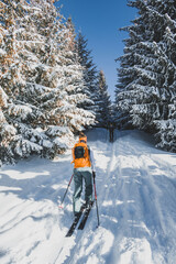 Mountaineer backcountry ski walking ski alpinist in the mountains. Ski touring in alpine landscape with snowy trees. Adventure winter sport. Kralova hola, Slovakia © Zedspider