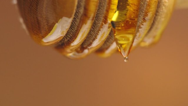 gold honey. Tasty honey.bee product. Liquid honey. gold Honeycomb.bee wax. Sugar honeyed