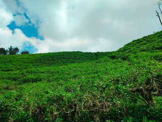 Fototapeta na wymiar Riung Gunung Pangalengan Landscape at Pangalengan, Bandung Regency, West Java, Indonesia