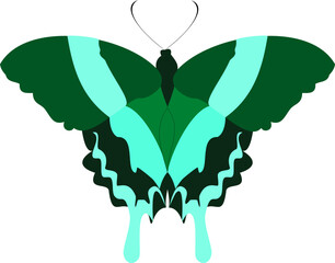 The beautiful flying light green butterfly with nice soft shadow on white background