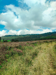 Riung Gunung Pangalengan Landscape at Pangalengan, Bandung Regency, West Java, Indonesia
