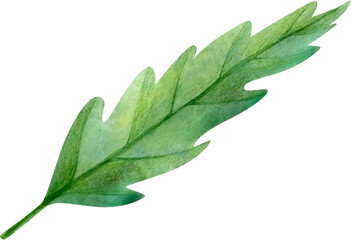 Hand Drawn Green Watercolor Cute Tropical Leaf