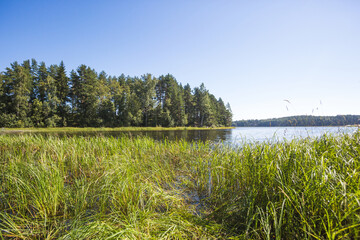 Ladoga Lake. Karelia Republic summer landscape, Russia