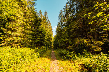 Mountain landscape in mountains, Juranova dolina - valley in The Western Tatras national park. Slovakia, oravice, Orava region. © Zedspider