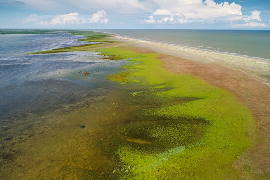 Danube Delta. Aerial view over a beautiful nature landscape from Danube Delta and Sacalin Island in Romania, a unique place in Europe next to Black Sea.