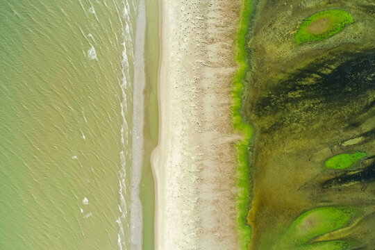 Danube Delta. Aerial view over a beautiful nature landscape from Danube Delta and Sacalin Island in Romania, a unique place in Europe next to Black Sea.