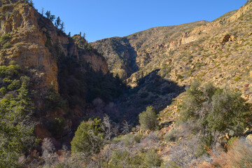 Rancho Nuevo Trail, Dick Smith Wilderness, Los Padres National Forest