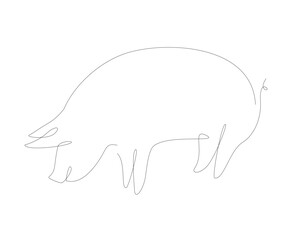 Pig one line illustration. Pork single line. Household animals line art vector.