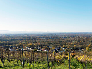 Istein (Efringen-Kirchen), commune allemande du Bade-Wurtemberg entre vignes et bande Rh&eacute;nane dans le markgr&auml;flerland. La vall&eacute;e du Rhin, le Sundhau et B&acirc;le &agrave; l'horizon 