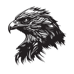 black and white eagle head vector Illustration