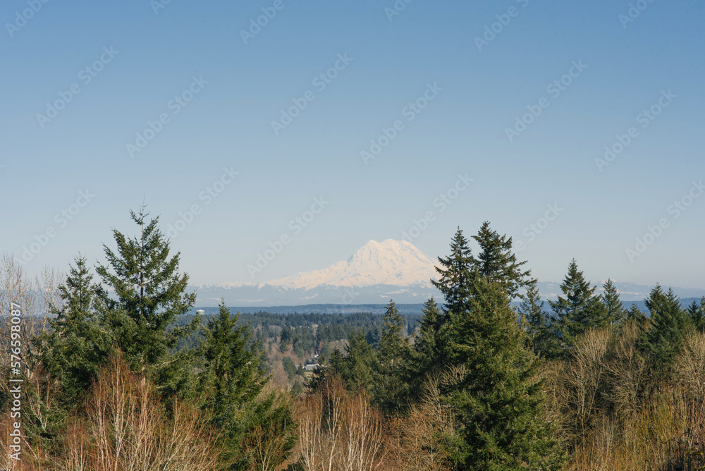 Wall mural Beautiful landscape with a view of the Rainier volcano from Olympia