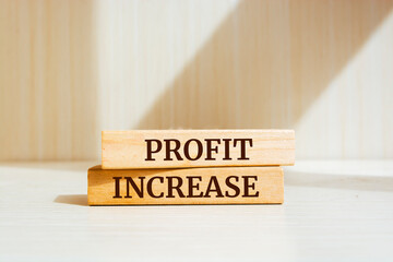 Wooden blocks with words 'PROFIT INCREASE'. Business concept