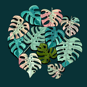 colorful monstera leaves on dark background clip art preview