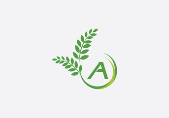 Laurel wreath green leaf logo and Vintage wheat logo design monogram 