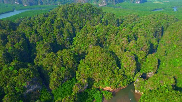 The drone captured a stunning landscape of limestone mountains covered in lush forest, meeting the estuary where mangrove forests thrive, creating a unique ecosystem in Thailand. 4K UHD
