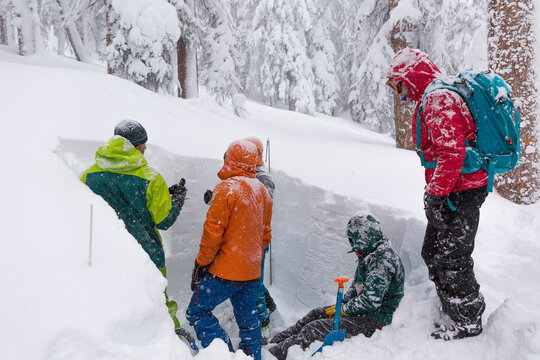 Students digging in snow pit during avalanche course with Colorado Mountain School, Rock Mountain National Park, Colorado, USA