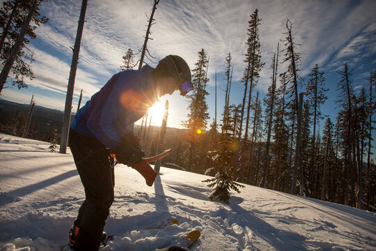 Backcountry skier putting skins in bag at top of Lolo Pass on border of Idaho and Montana, Lolo, Montana, USA