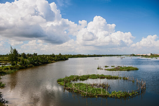 river with plantation close to Hoi An