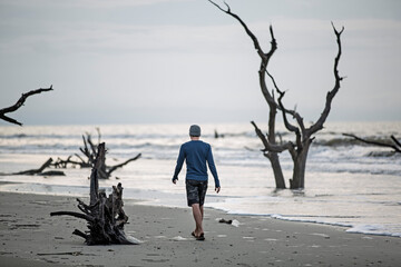 A man walking along a boneyard beach.