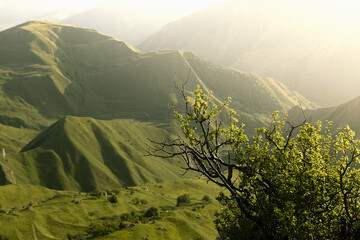 Idyllic summer mountain landscape - golden tender soft light sunbeams, rays of early morning on...