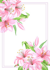 Hand drawn watercolor pink lily flowers bouquet. Isolated on white background. Scrapbook, post card, banner, lable, poster.