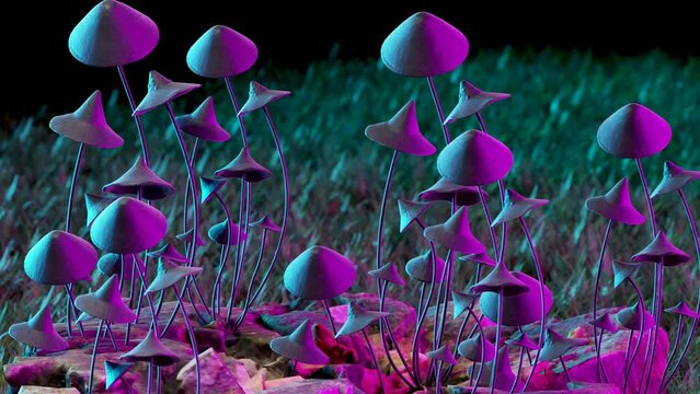 Close-up 3D render view of purple hallucinogenic mushrooms (Psilocybe cubensis)