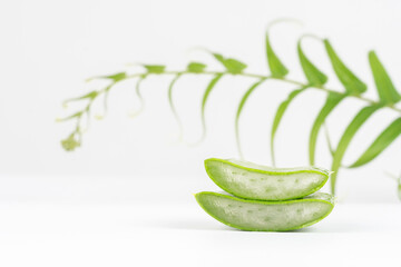 Fresh aloe vera leaves and slices isolate against white background for health and beauty products.