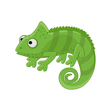 A cartoon vector illustration of a cute green chameleon lizard