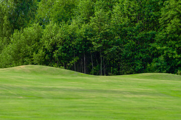 Grass sport field background. Horizontal sport and golf club, course theme poster, greeting cards, headers, website and app