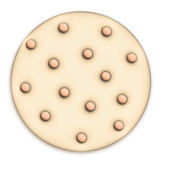 white chocolate chip cookie illustration