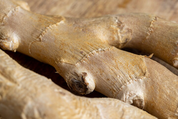 Ginger root which is used for cooking in Asia
