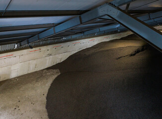 Big storehouse with beet pulp.