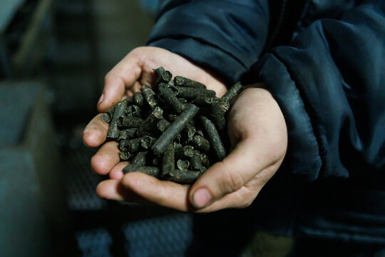 Closeup view of sugar beet pulp.