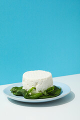 Concept of tasty dairy product - ricotta cheese, space for text