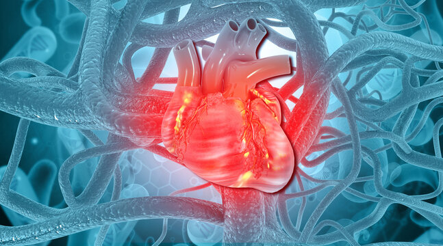 Human heart on nervs system background. 3d illustration.