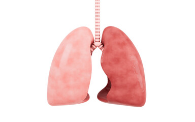 Sick lungs in the white background, Medical concept, 3d rendering.
