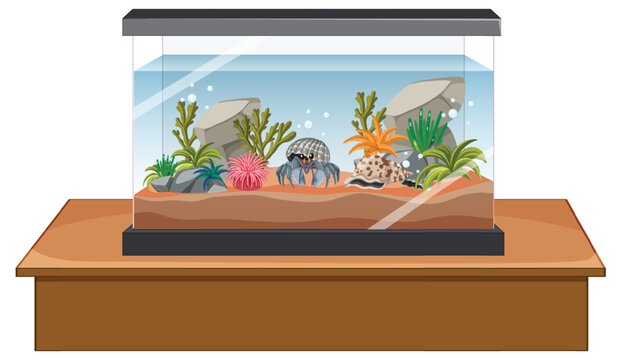 recommend clip art: Aquarium tank with fishes and decorations on white background