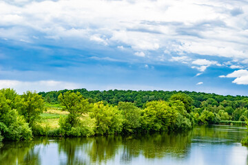 Fototapeta premium Beautiful grass swamp reed growing on shore reservoir in countryside