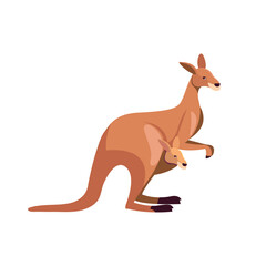 Kangaroo animal mother with child in pocket cute cartoon