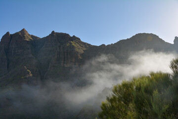 Fog in the mountains of Tenerife in Spain