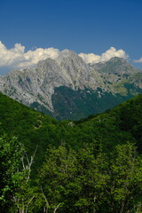 Fototapeta na wymiar Pizzo d’Uccello. Panorama of mountains. Pizzo d'Uccello, Monte Sagro and the Apuan Alps between green woods and blue sky. Apuan Alps, Tuscany, Italy. 