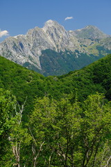 Apuan mountains. Panorama of mountains. Pizzo d'Uccello, Monte Sagro and the Apuan Alps between green woods and blue sky. Apuan Alps, Tuscany, Italy. 