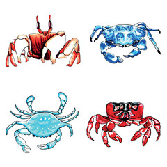 Set of brown, blue, red and aqua color crabs. Vector  EPS illustration marine animals.