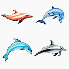 Set of brown, blue, red and aqua color dolphins. Vector  EPS illustration marine animals.