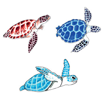 Set of brown, blue and aqua color turtles  isolated on transparent background. Vector  EPS illustration marine animals.