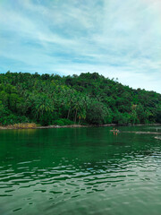 View of Trees in Island, Bengkayang Regency, West Kalimantan, Indonesia