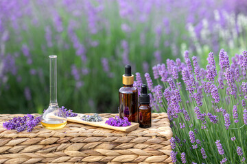 Amber essential lavender oil bottle. Violet lavendar field in Provence.