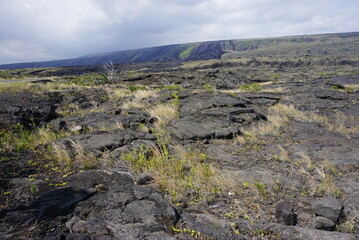Fototapeta na wymiar Lava field in Big island in Hawaii