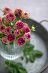花瓶に生けたピンクのバラ　