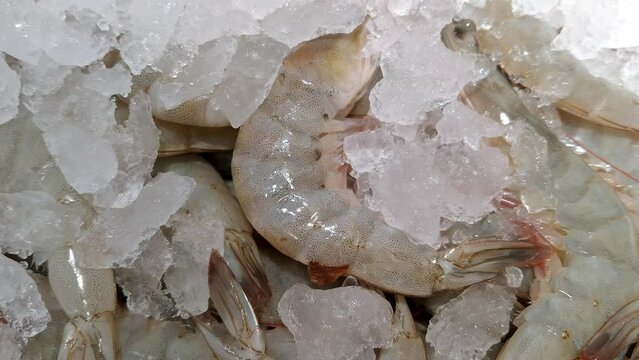 White Shrimp frozen ice Udang Putih